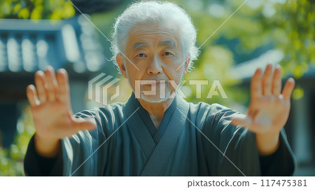 Elderly people doing tai chi 117475381