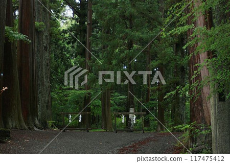 The approach to the shrine wrapped in silence The approach to the shrine wrapped in silence 117475412