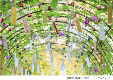 Toyota City, Morning Glories and Wind Chime Tunnel (Kowatari Yumekake Wind Chime) 117475796