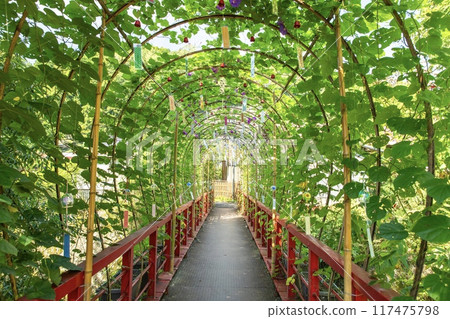 豐田城、牽牛花和風鈴隧道（Odo Yumekake Wind Chime） 117475798