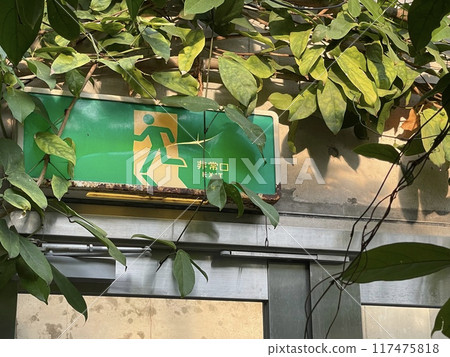 植物園緊急出口象形圖 植物園緊急出口象形圖 117475818