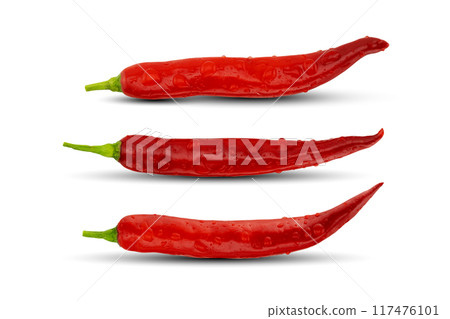 Wet red chili peppers isolated on white background with clipping path 117476101