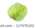 Green iceberg lettuce isolated on white background with clipping path 117476102
