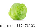 Wet green iceberg lettuce with water drops  isolated on white background with clipping path 117476103