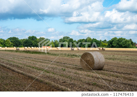 Golden agriculture field with harvested wheat and hay rolls aganst blue sky, Stuhr, Lower Saxony, Germany 117476433