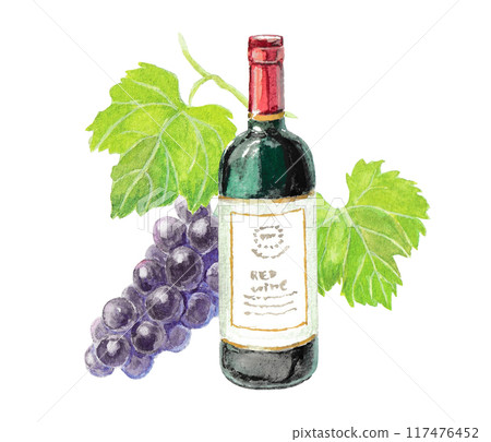 Watercolor image of red wine and grapes 117476452