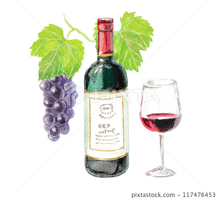 用水彩畫的紅酒和葡萄的圖像 117476453