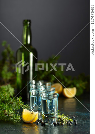 Gin with juniper berries, lemon slices, and vintage bottle. 117476495