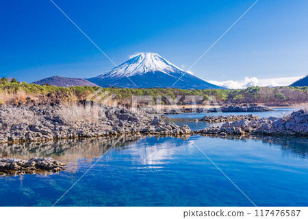[Yamanashi Prefecture] Mount Fuji as seen from the lava area around Lake Motosu 117476587