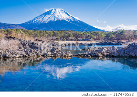 [Yamanashi Prefecture] Mount Fuji as seen from the lava area around Lake Motosu 117476588