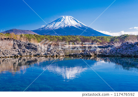 [山梨縣] 從本棲湖畔的熔岩區看到的富士山 117476592