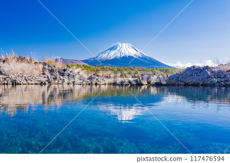[Yamanashi Prefecture] Mount Fuji as seen from the lava area around Lake Motosu 117476594