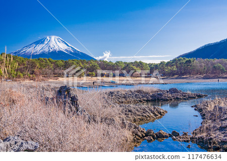 [山梨縣] 從本棲湖畔的熔岩區看到的富士山 117476634