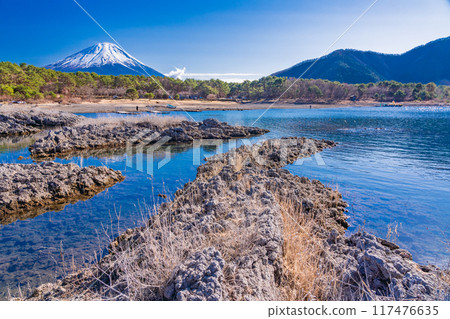[山梨縣] 從本棲湖畔的熔岩區看到的富士山 117476635