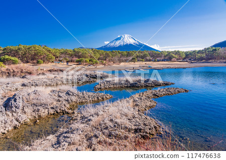 [山梨縣] 從本棲湖畔的熔岩區看到的富士山 117476638