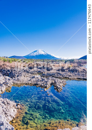 [山梨縣] 從本棲湖畔的熔岩區看到的富士山 117476643