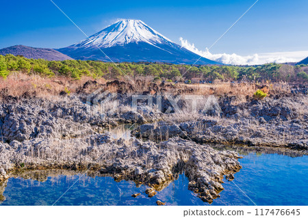 [Yamanashi Prefecture] Mount Fuji as seen from the lava area around Lake Motosu 117476645