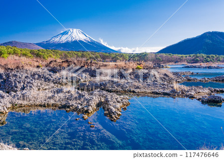 [Yamanashi Prefecture] Mount Fuji as seen from the lava area around Lake Motosu 117476646