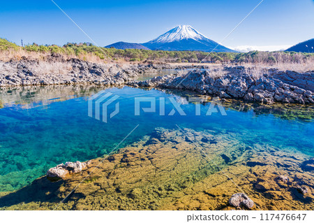 [Yamanashi Prefecture] Mount Fuji as seen from the lava area around Lake Motosu 117476647