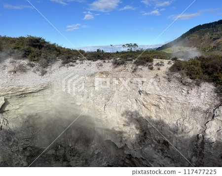 Waiotapu Thermal Wonderland, North Island, New Zealand 117477225