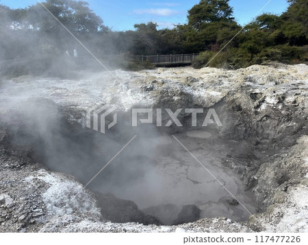 Waiotapu Thermal Wonderland, North Island, New Zealand Waiotapu Thermal Wonderland, North Island, New Zealand 117477226