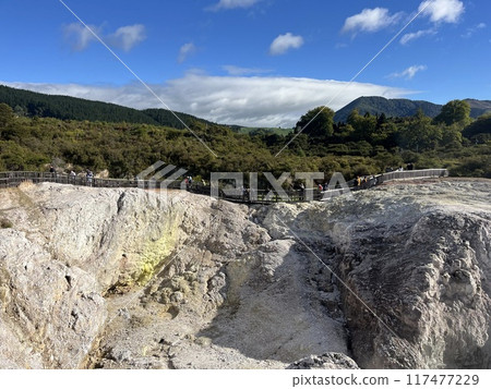 Waiotapu Thermal Wonderland, North Island, New Zealand 117477229