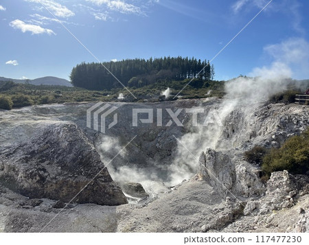 Waiotapu Thermal Wonderland, North Island, New Zealand 117477230