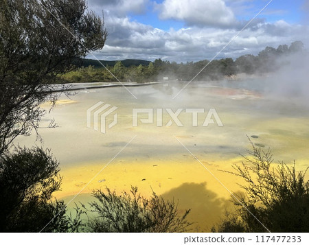Waiotapu Thermal Wonderland, North Island, New Zealand 117477233