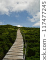 Oyama summit 117477245