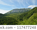 Oyama 117477248