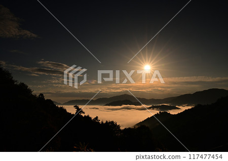 竹田城跡的雲海 竹田城跡的雲海 117477454