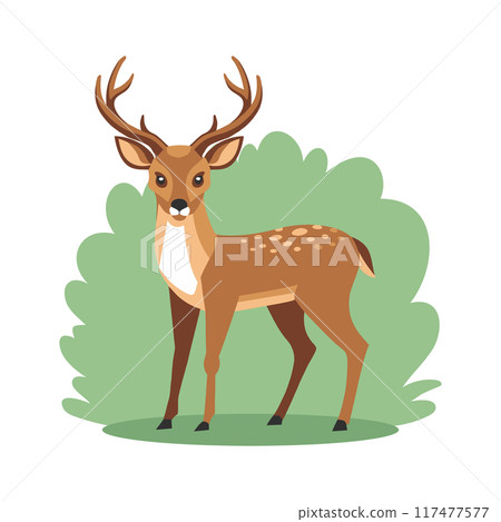 Cute deer on green nature background. Wildlife illustration in flat style 117477577