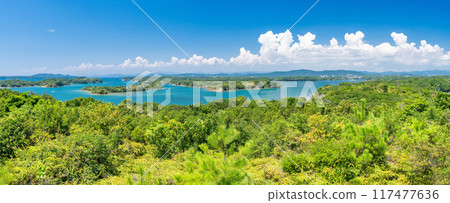 [三重縣] 夏天的英虞灣海岸線，從富山公園看到的ria海岸線 117477636