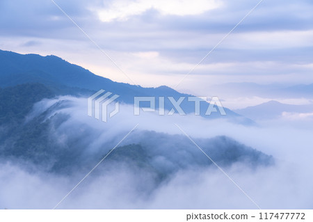 【新潟縣】江戶嶺的瀑布雲，夏天的大片雲海 117477772