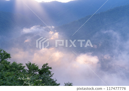 <<Niigata Prefecture>> Takigake clouds at Shiori Pass and the summer sea of clouds 117477776