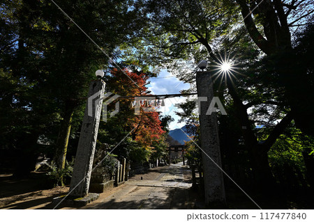 兵州神社的秋葉 117477840