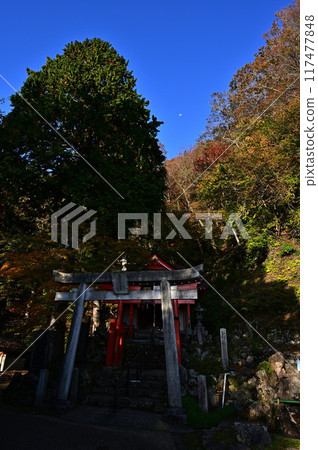 Autumn leaves at Onidake Inari Shrine Autumn leaves at Onidake Inari Shrine 117477848