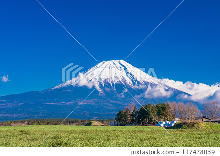 [Shizuoka Prefecture] Asagiri Plateau Ranch and Mt. Fuji 117478039