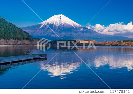 [Shizuoka Prefecture] Evening view of Mt. Fuji from the shores of Lake Tanuki 117478341
