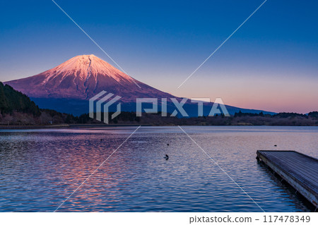 [Shizuoka Prefecture] Evening view of Mt. Fuji from the shores of Lake Tanuki 117478349