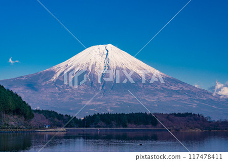 [Shizuoka Prefecture] Evening view of snow-capped Mt. Fuji from Lake Tanuki 117478411