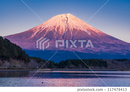 【靜岡縣】從狸湖畔眺望雪山富士山的夜景 117478413