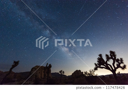 The Milky Way over Joshua Tree National Park 117478426