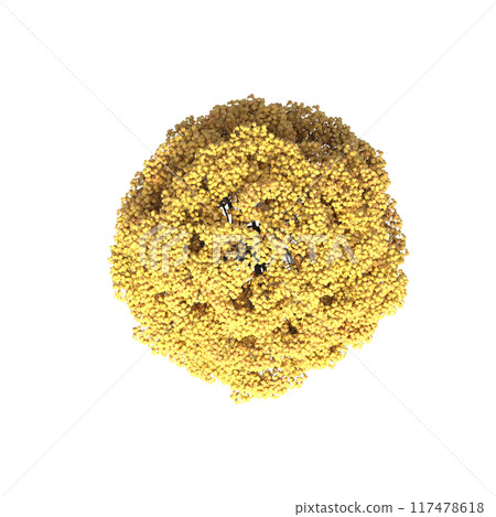 tree top view, isolate on a transparent background, 3d illustration 117478618