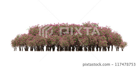 group of trees isolated on a transparent background, big trees in the forest, 3D illustration, cg render group of trees isolated on a transparent background, big trees in the forest, 3D illustration, cg render 117478753