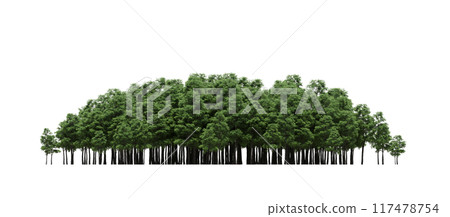 group of trees isolated on a transparent background, big trees in the forest, 3D illustration, cg render group of trees isolated on a transparent background, big trees in the forest, 3D illustration, cg render 117478754