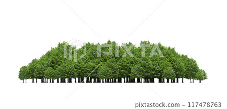 group of trees isolated on a transparent background, big trees in the forest, 3D illustration, cg render 117478763