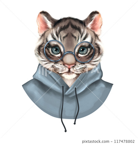 Cute tiger in blue hoody. Hand drawn animal illustration 117478802