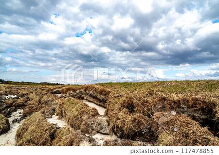 Ballinravey Strand between Ardara and Portnoo in Donegal - Ireland 117478855