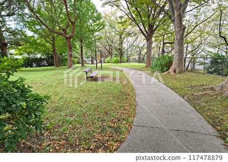 橫濱港北區篠原西町公園、籧原西町公園、篠原西町31、遊樂設施廣場、森林地區、綜合遊樂設施 117478879